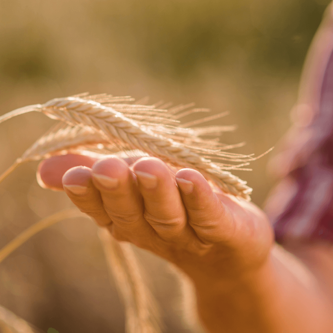 Quiz: „Da komm' ich her“ – 100 % aus Österreich! Challenge-Banner